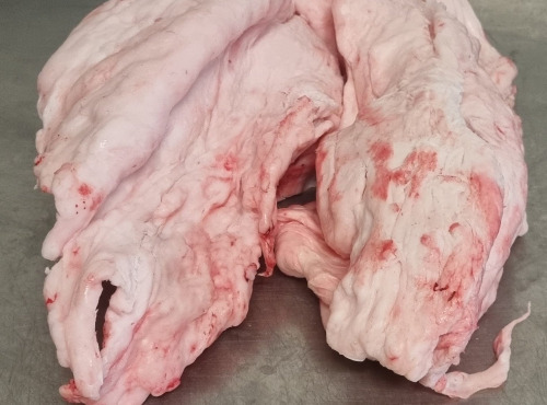 La Ferme du Montet - Panne - Gras de porc noir Gascon