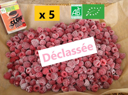 LES JARDINS DE KARINE - Framboises surgelées déclassées à cuire - 5kg