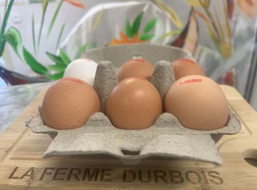 La Ferme Durbois - Oeufs fermiers plein air x6