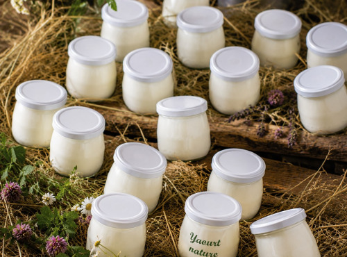Gaec de l'Elanion - Lot 16 Yaourt Nature - 2kg