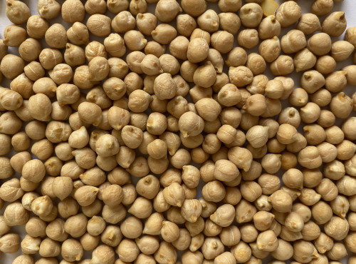 BERRY GRAINES - Pois chiches BIO origine France - sac 5kg x1