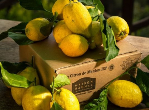 Maison Gannac - Citrons de Menton IGP BIO 2kg