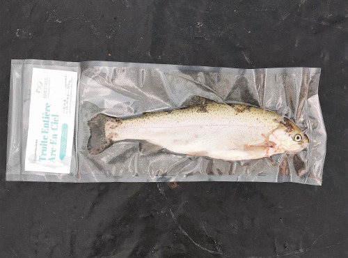 Nature et Saveurs - Ferme Aquaponique et Permacole Astérienne - Truite Arc En Ciel Entière et Vidée Sous Vide