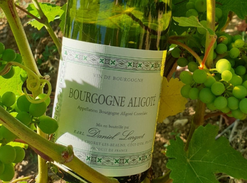 Domaine Daniel Largeot - AOC Bourgogne Aligoté - Lot de 6 Bouteilles