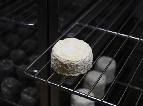 Alléosse Maitre Artisan Affineur Fromager - Cabri Blanc au lait cru