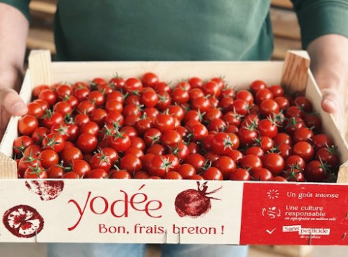Agriloops - Tomates cerises rondes – Poly 2 kg