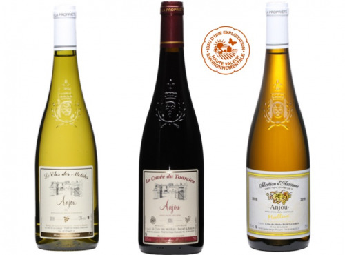 Château de Belleville Maison Baron - Vins Repas De Fête 1