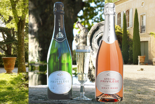 Château Saint Estève d'Uchaux - ASSORTIMENT VINS MOUSSEUX : Brut BIO Blanc et Rosé Méthode Traditionnelle x6