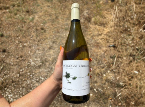 Domaine Céline Coté - Bourgogne Chardonnay 2025