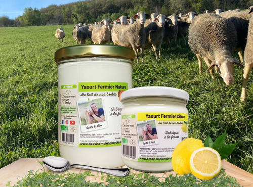 Dessine moi une brebis - Yaourt Brebis Nature 780g + 320g Citron