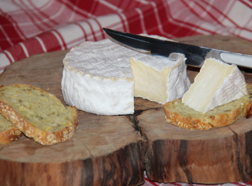 Ferme Dumesnil - Camembert Le Castillon x2