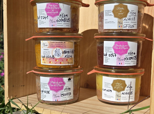 Bocal Bigourdan - OFFRE DÉCOUVERTE - 6 terrines