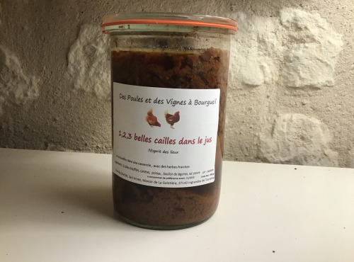 Des Poules et des Vignes à Bourgueil - 1,2,3 Belles Cailles Dans Le Jus