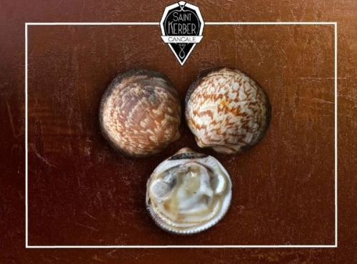 Saint Kerber - Amandes de mer - barquette de 1 kg
