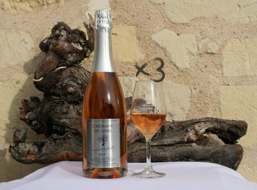 Domaine de la Chopinière du Roy - Lot de 3 bouteilles de Crémant de Loire Rosé Dry, Fines Bulles et Fruité AOP - 3x75 cl