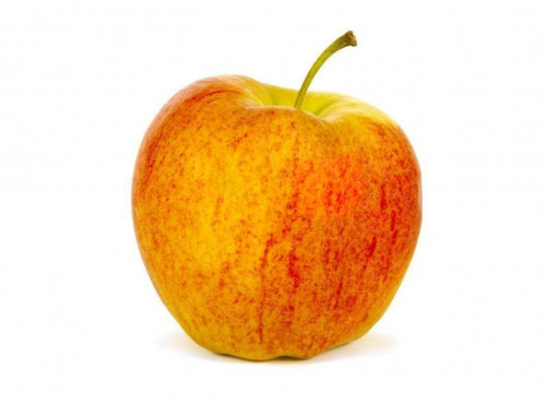 Nature et Saveurs - Ferme Aquaponique et Permacole Astérienne - Pomme Gala – douceur croquante et éclat fruité