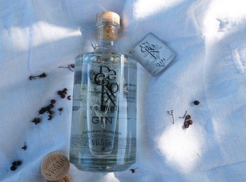 Alcools Vivant - Gin Decroix Bio 70cl