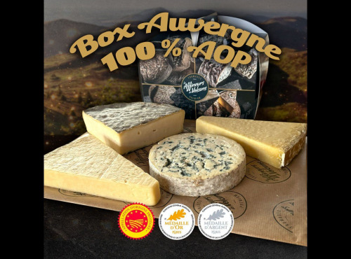 Les Affineurs des Volcans - Coffret Cadeau 4 Fromages d'Auvergne AOP