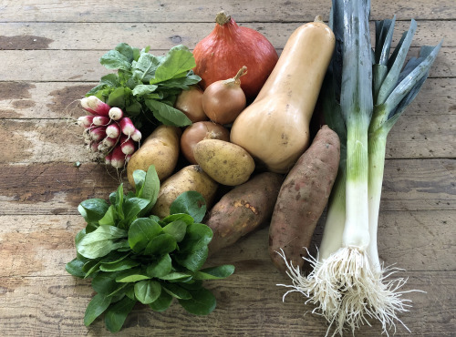 Langevine - Paniers Automne - Légumes De Saison Bio
