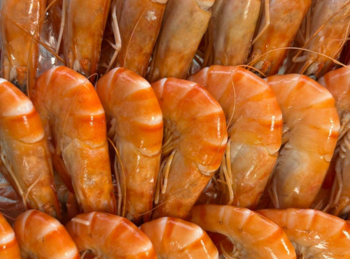 L'atelier des poissonniers - Gambas Bio Oso de Madagascar (40 à 60 pièces au kilo)