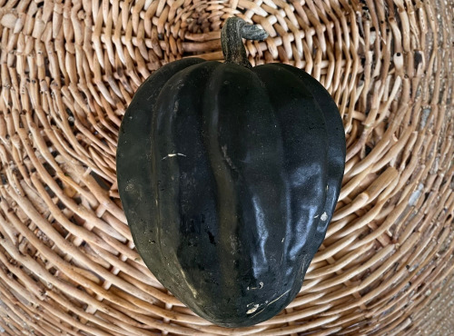 Cressonnière de Montmirault - Courge Table Queen