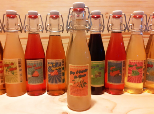 Les Vergers de la Vautée - Sirop d'Ombelles de Sureau 25cl