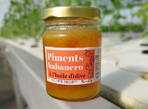 Nature et Saveurs - Ferme Aquaponique et Permacole Astérienne - Piment Jamaïcain a l'Huile d'Olive