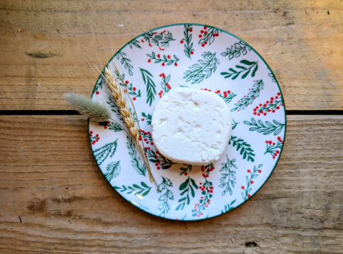 La ferme du Mourian - Crottin chèvre frais x2