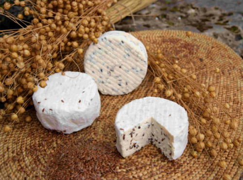 Fromagerie de la Chapelle Saint Jean - Bray aux Graines de Lins - 6 Pièces