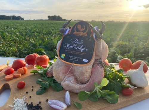 Les Volailles Loyer - Poules Fermières Authentiques par 4 (colis de 8 kgs) PAC - Ente 1,8 kgs et 2,2 kgs
