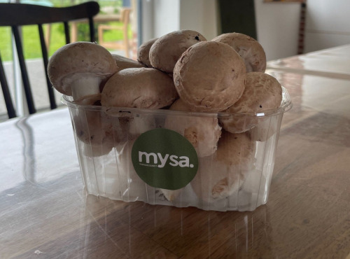 Mysa - Champignons de Paris bruns 250g