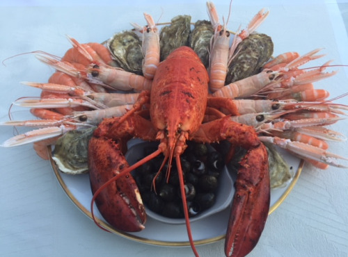 AQUADIS NATURELLEMENT - Plateau De Fruits De Mer 71 Degrees West - Homard Canadien Env 2kg