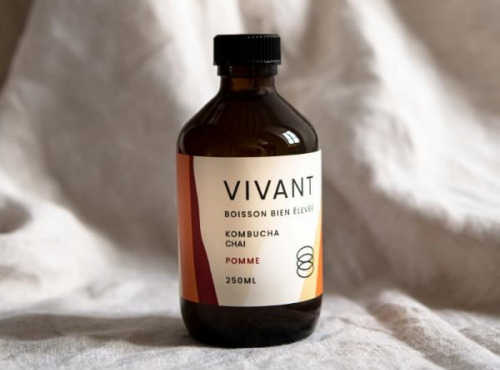Vivant Kombucha - Kombucha Chai Pomme bio x12 (édition limitée)