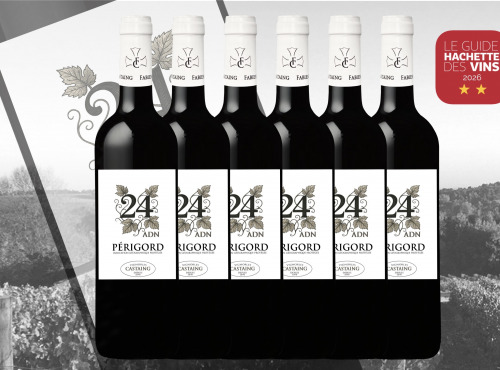 Vignobles Fabien Castaing - IGP Périgord ADN24