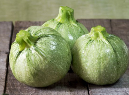 La Boite à Herbes - Courgette Ronde - 1kg