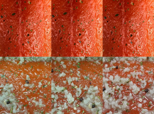 Lionel Durot - Gravlax de saumon biologique collection printemps été