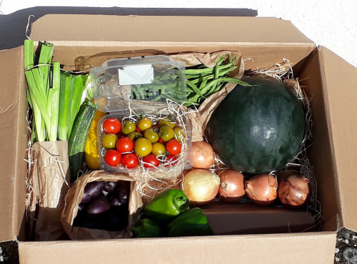 Ferme de Cernunnos - Panier de fruits et légumes bio de saison - 9 kg