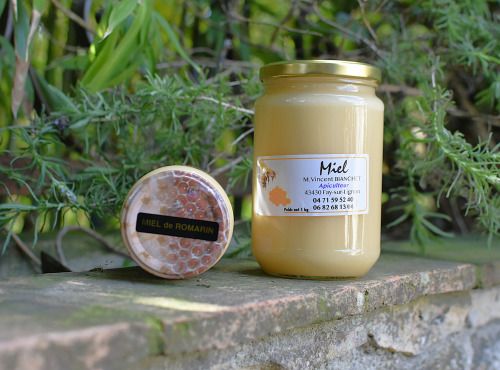 La Truite du Mézenc - Miel de Romarin - 1kg