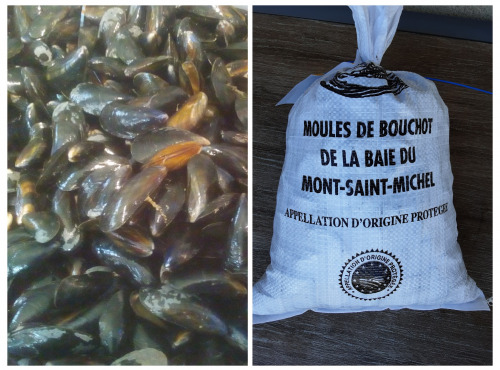 Gourmets de l'Ouest - Moules de bouchot AOP Baie du Mont Saint Michel - 2kg