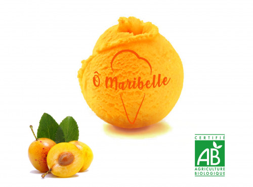 O Maribelle - Sorbet ou Crème Glacée au choix 2,5 L