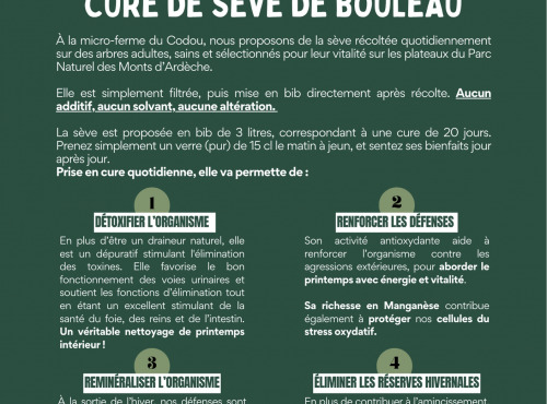 Lou Codou - Cure de sève de bouleau - 3L