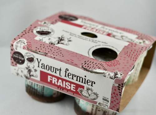 GAEC Les Perce-neige - Pack de 4 yaourts à la fraise x4
