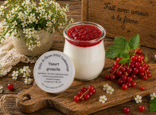 Gaec de l'Elanion - Yaourt Confiture Groseille 125g