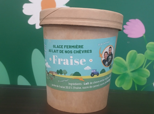 Les Pâturettes de Bodavel - Glace Fraise 480ml