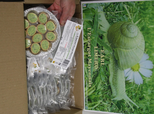 Limero l'Escargot Mayennais - Assiette De 12 Crcrouskis D'escargots Gros Gris FRAIS au beurre persillé