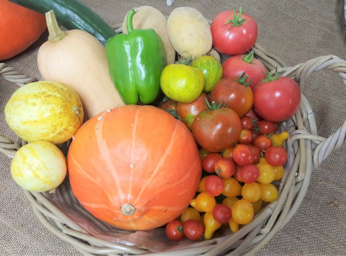 Les Jardins de Champlecy - Panier De Légumes De Saison 5 Kg