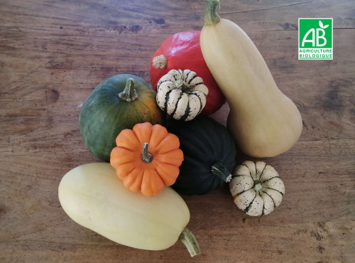 Ferme de Carcouet - Panier de Courges Bio - 9 kg