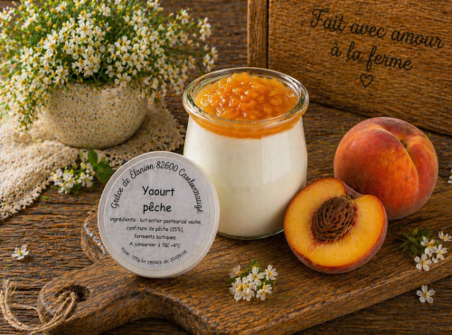 Gaec de l'Elanion - Yaourt À La Confiture De Pêche 125g