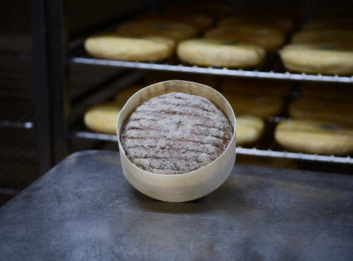 Alléosse Maitre Artisan Affineur Fromager - Aisy Cendré affiné à la cendre de bois