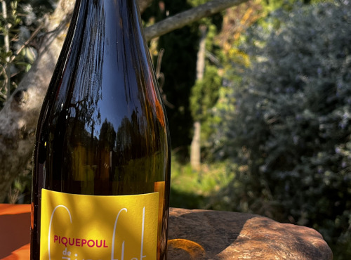 Domaine Giroflet - Piquepoul de Giroflet - 3 bouteilles